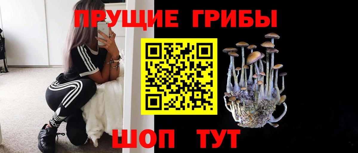 Псилоцибиновые грибы GOLDEN TEACHER  Вход с VPN  Новоалександровск 