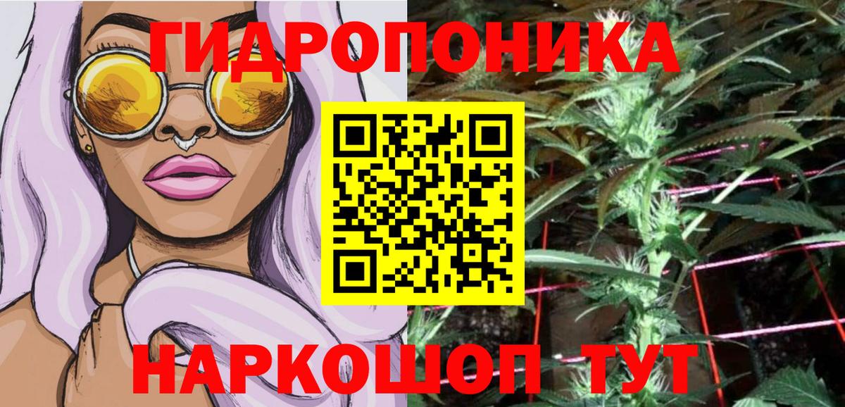 Шишки марихуана OG Kush Новоалександровск
